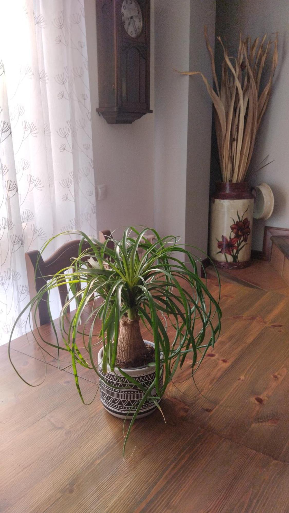 El Balcon De Villapresente Exteriér fotografie